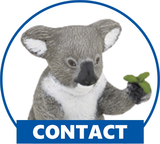 Contact