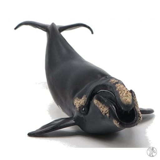Papo Baleine franche (Univers marin)