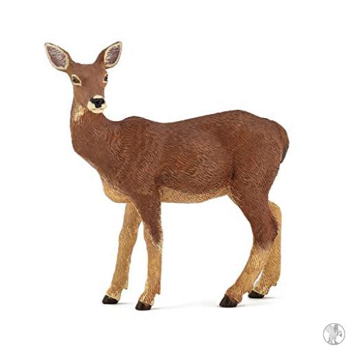 Papo Biche (Vie sauvage)