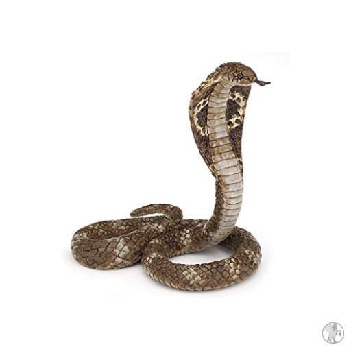 Papo Cobra royal (Vie sauvage)