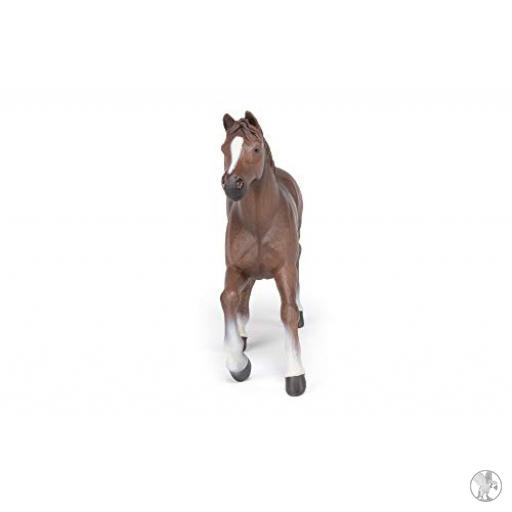 Papo Jument anglo-arabe (Chevaux, poulains et poneys)