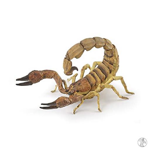Papo Scorpion (Vie sauvage)