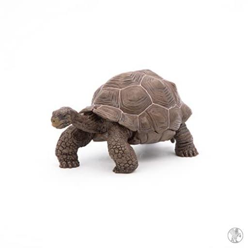 Papo Tortue des Galápagos (Vie sauvage)