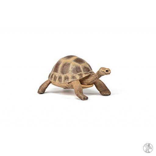 Papo Figurines Tortue d'Hermann