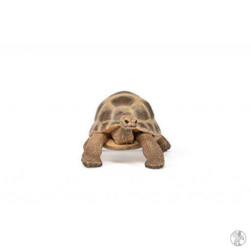 Papo Tortue d'Hermann (Vie sauvage)